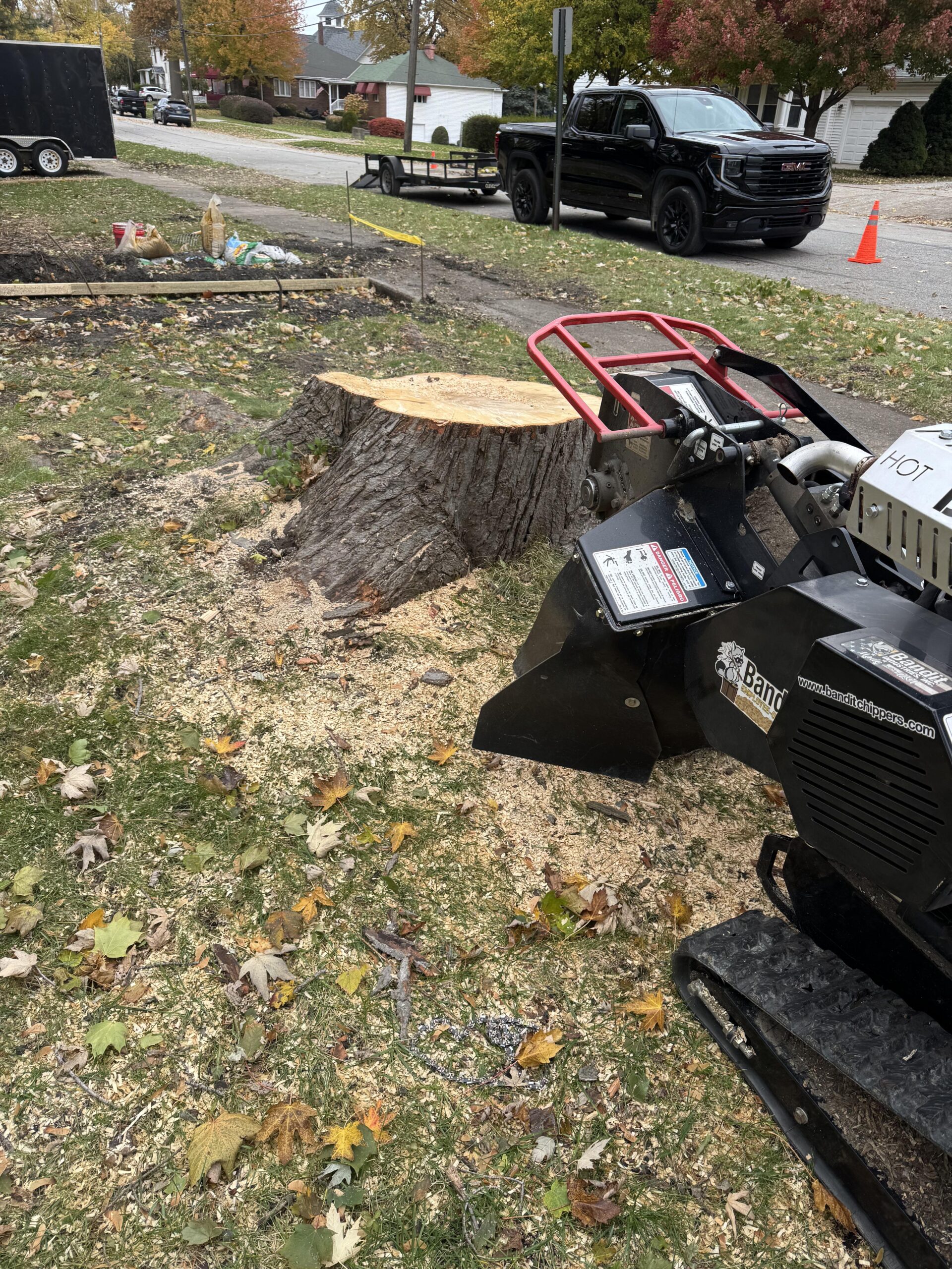 tree stump grinding company, Columbia Station, Ohio